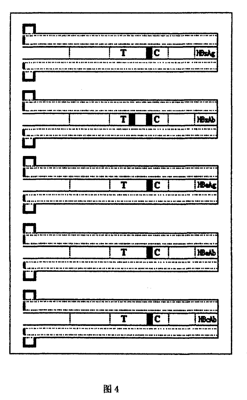 A portable two-and-a-half rapid combined detection device for hepatitis B