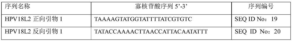 Primer and probe combination for detecting methylation of genes related to high-grade cervical lesions and cervical cancer