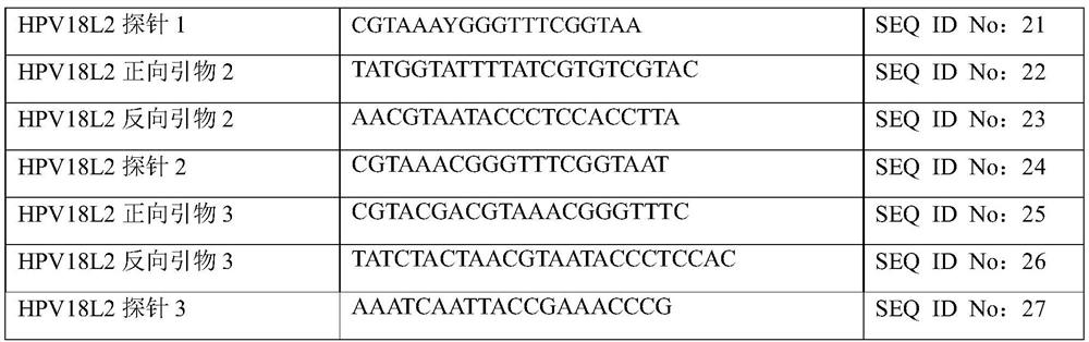 Primer and probe combination for detecting methylation of genes related to high-grade cervical lesions and cervical cancer