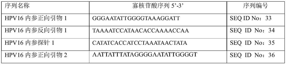 Primer and probe combination for detecting methylation of genes related to high-grade cervical lesions and cervical cancer