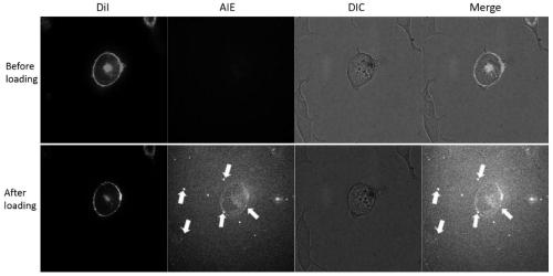 Fast labeling and tracking method of recombinant human adenovirus type 5