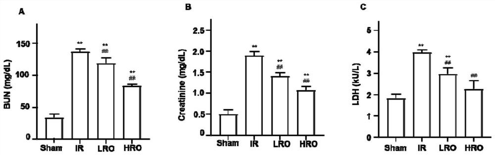 Application of glucogalactooligosaccharide in preparation of medicine for treating and/or preventing ischemia-reperfusion injury