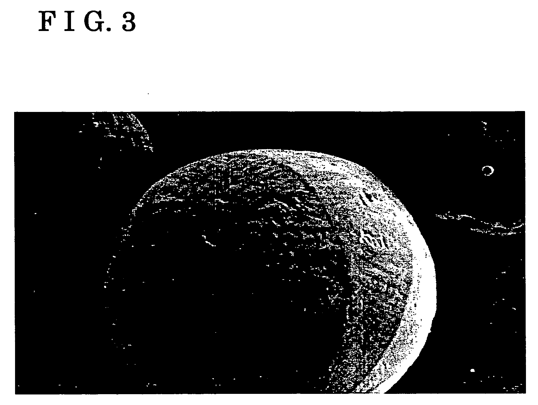 Fitting member and manufacturing method thereof