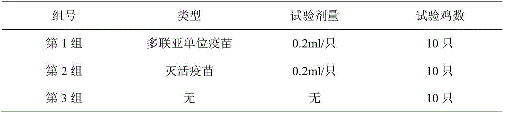 Preparation method of avian reovirus multi-subunit vaccine