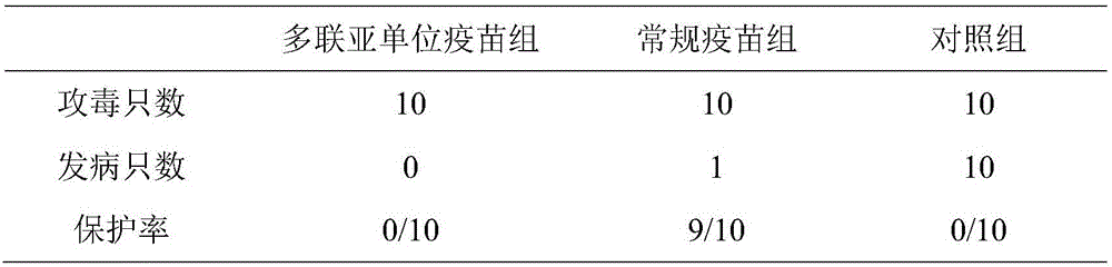 Preparation method of avian reovirus multi-subunit vaccine