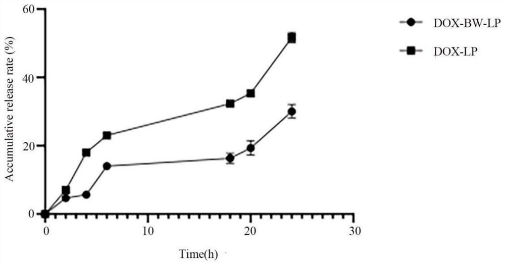 Preparation method and application of a kind of bacterial wall modified liposome carrying doxorubicin