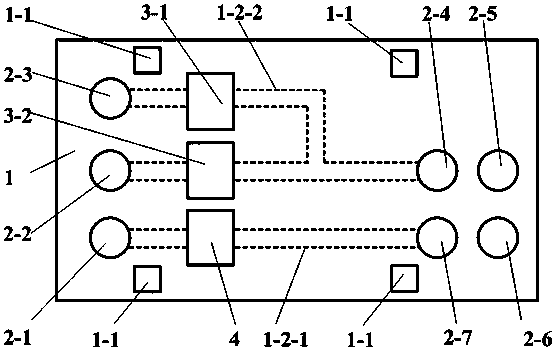 Wireless remote control microinjection device