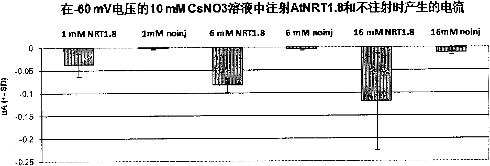 Application of AtNRT1.8 gene to strengthening resistance of crops to stress of heavy metals or salts