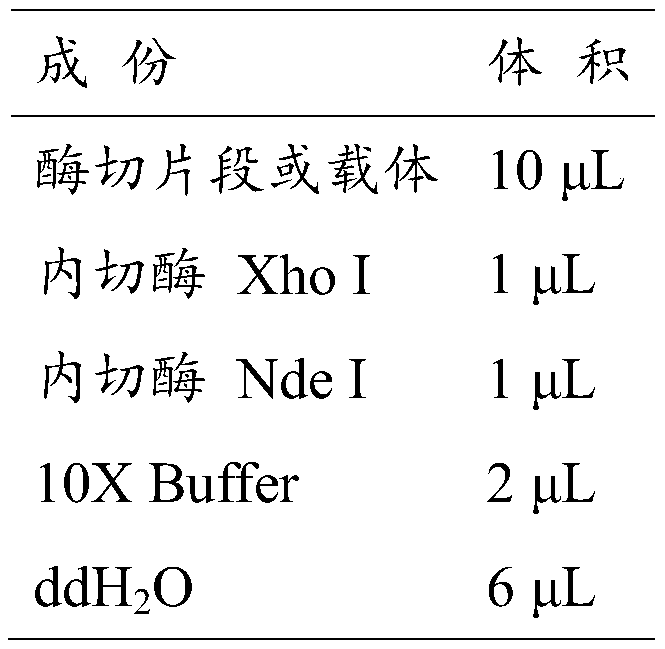 Recombinant aspartase mutant, coding gene and application of recombinant aspartase mutant