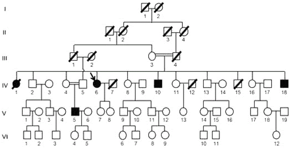 Detection primers, method and kit for myodystonia VPS16 gene