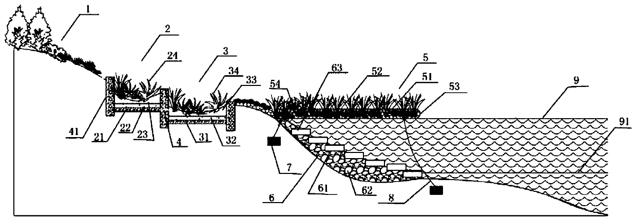 Hydro-fluctuation belt ecological slope protection system for coping with hydrological changes