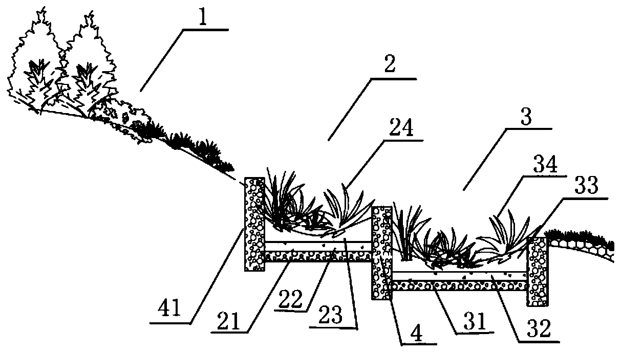 Hydro-fluctuation belt ecological slope protection system for coping with hydrological changes