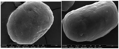 A kind of coated graphite lithium ion battery negative electrode material and preparation method thereof