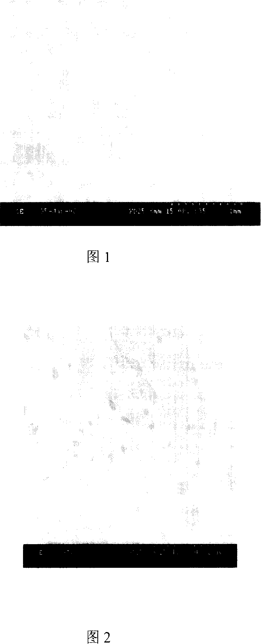 Bone-repairing material and preparing method thereof