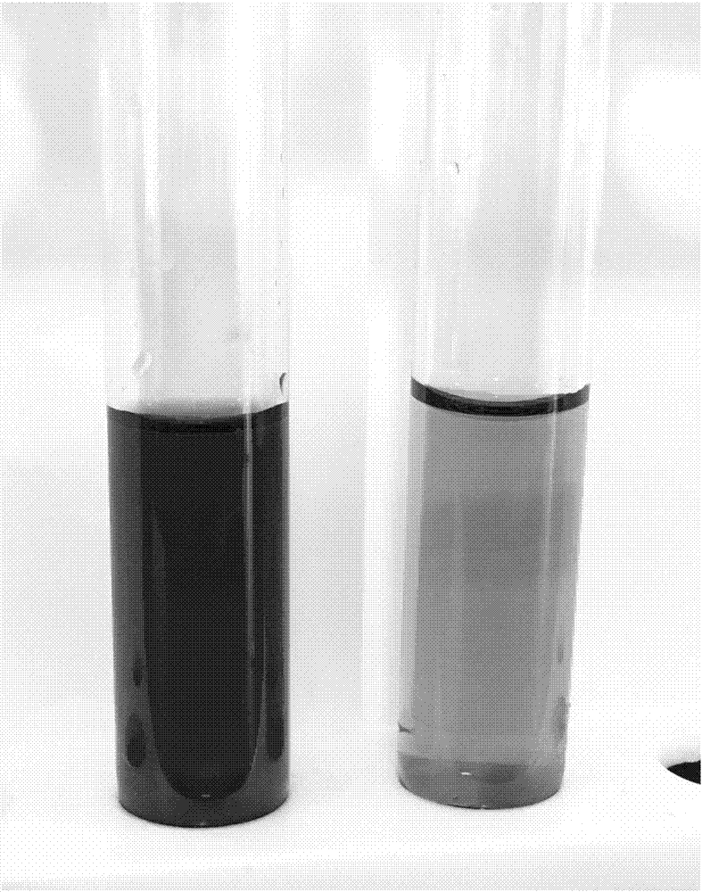 Dopamine-modified chitosan flocculant