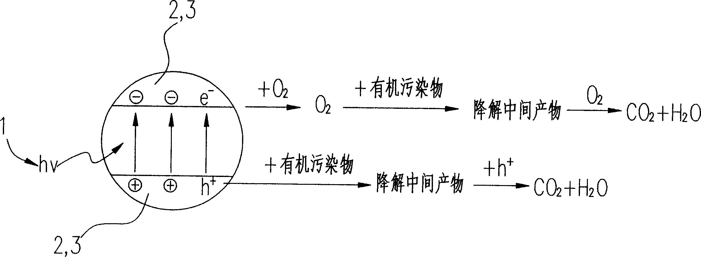 Photoelectricity catalytic reactor for degrading organic contaminant and degradation method