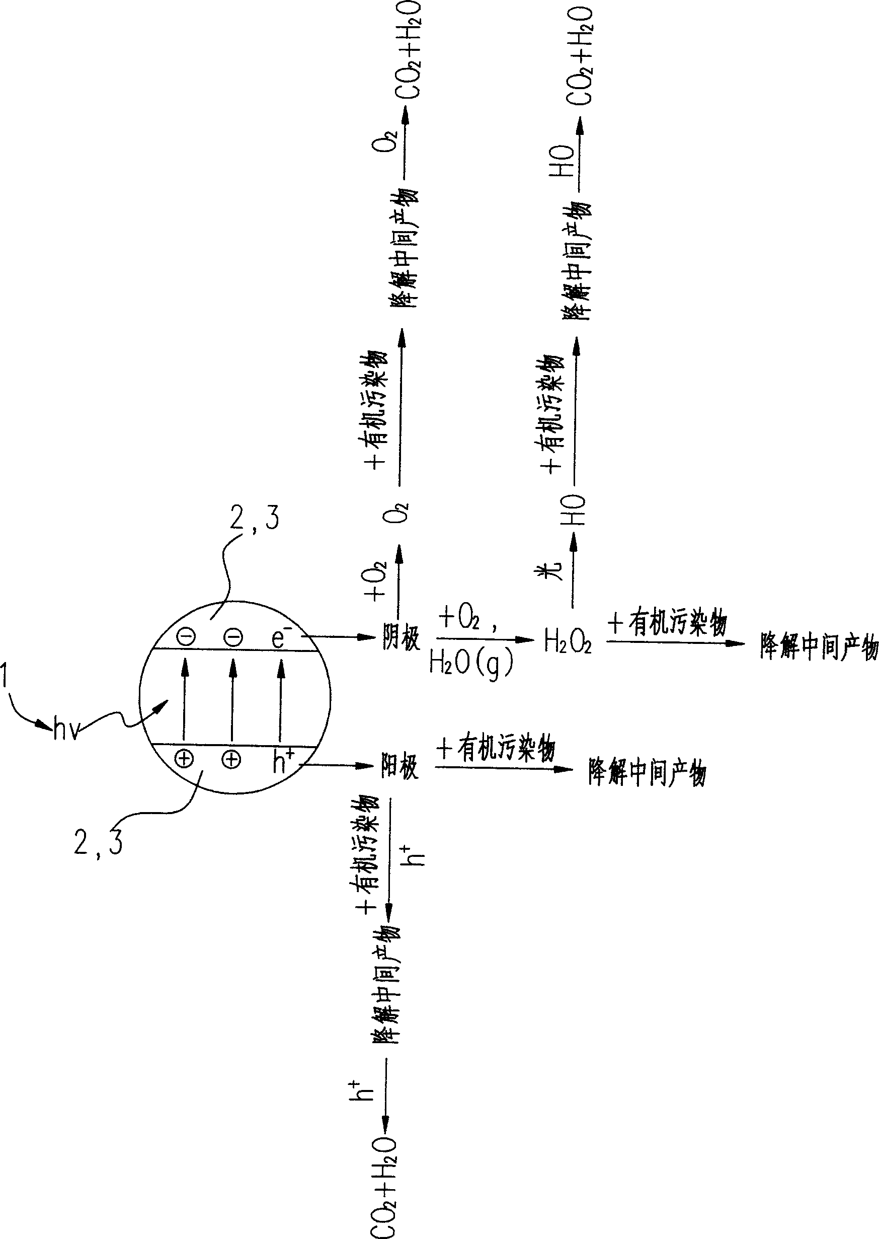 Photoelectricity catalytic reactor for degrading organic contaminant and degradation method