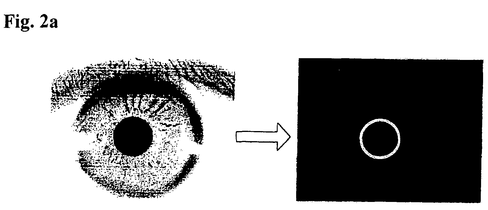 Iris image data processing for use with iris recognition system