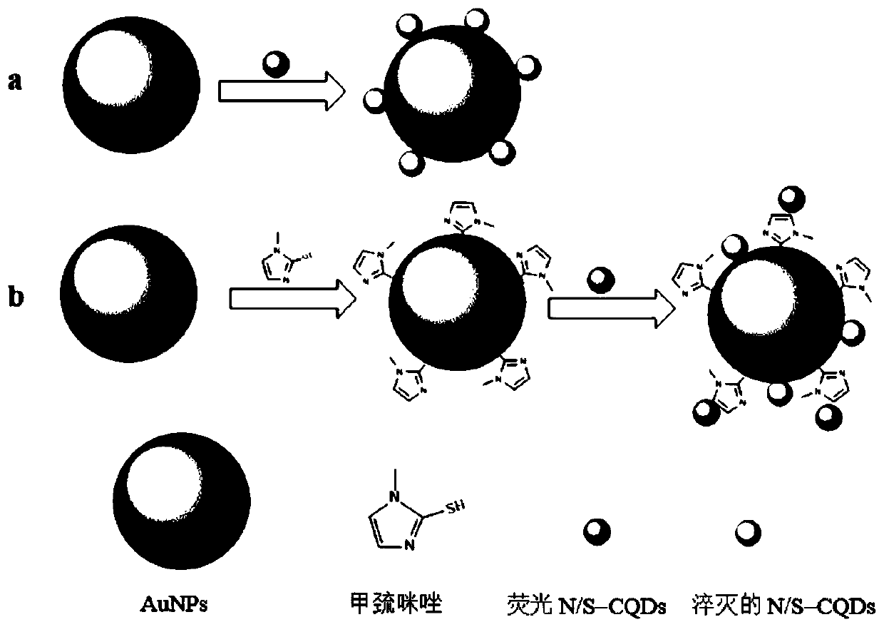 Methimazole detection method