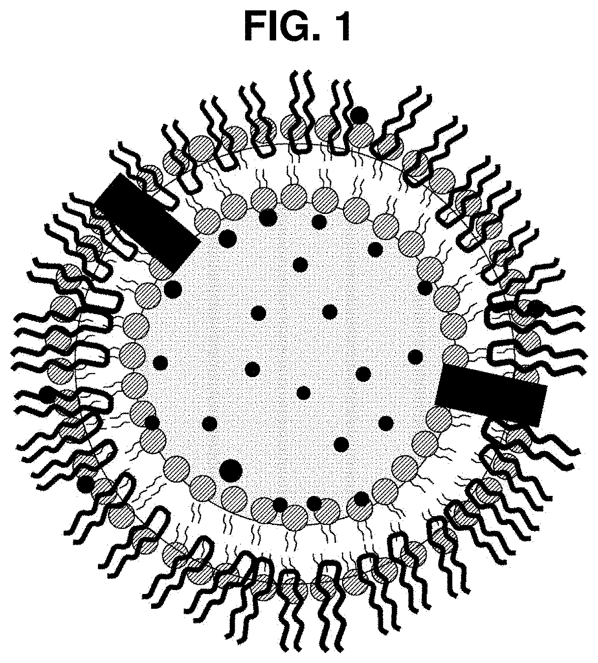 Exosome-based nanoparticle composite and method for preparing the same