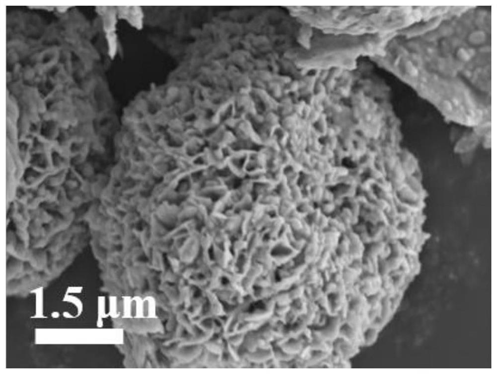 Bimetal selenide negative electrode material and preparation method and application thereof