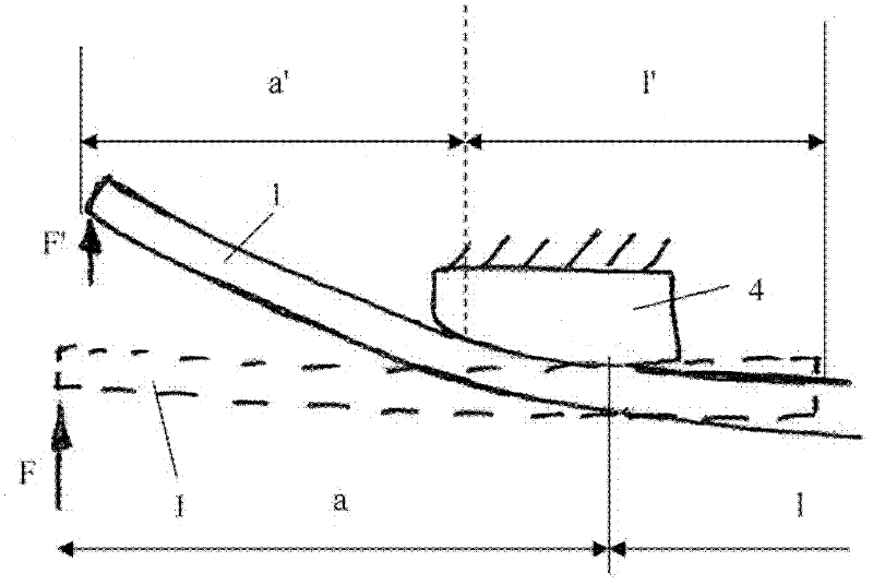 Vehicle with a leaf spring element for the spring suspension of the vehicle