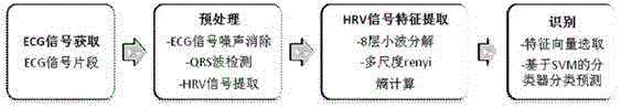 A heart rate variability feature classification method based on multi-scale Renyi entropy