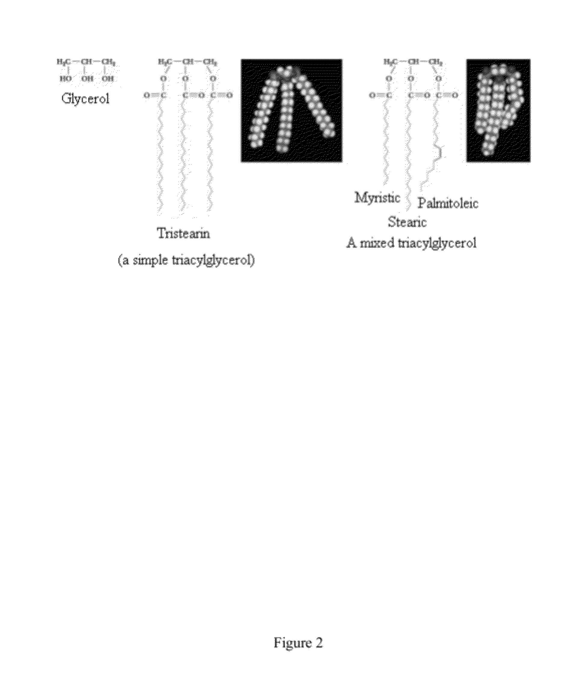 Compositions For Treating Chronic Viral Infections