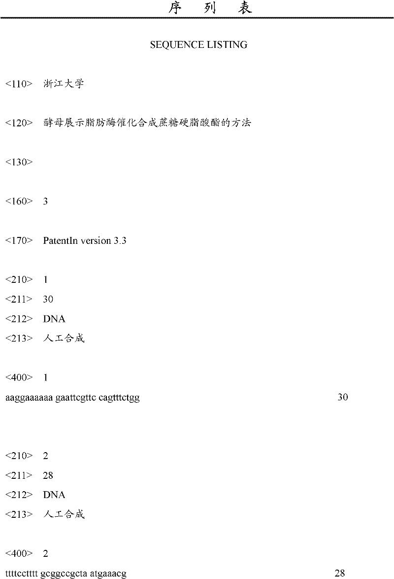 Method for catalyzing and synthesizing sucrose stearate through yeast show lipase