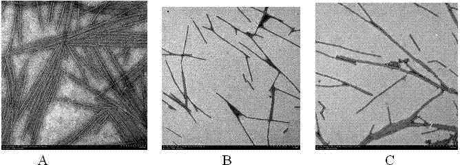 Glucoside-1,4-pentadiene-3-ketone compounds containing acetoxyl groups as well as preparation method and use of glucoside-1,4-pentadiene-3-ketone compounds