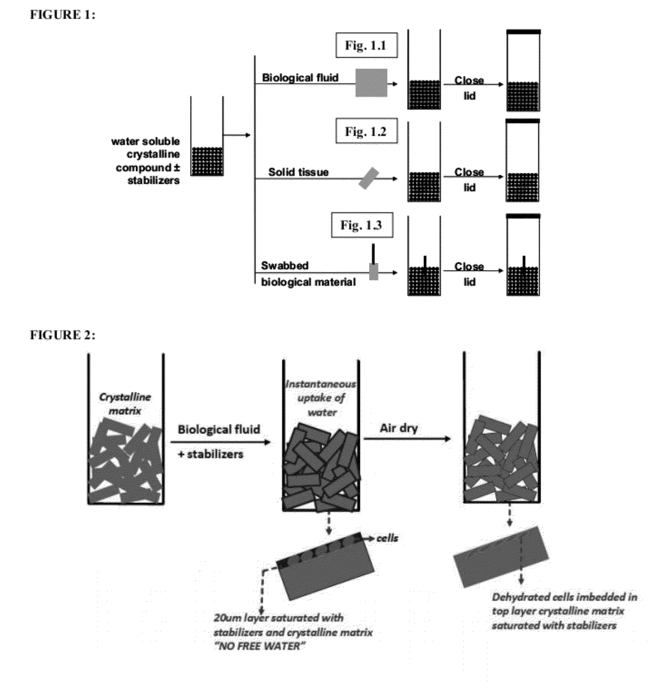 Stabilized chemical dehydration of biological material