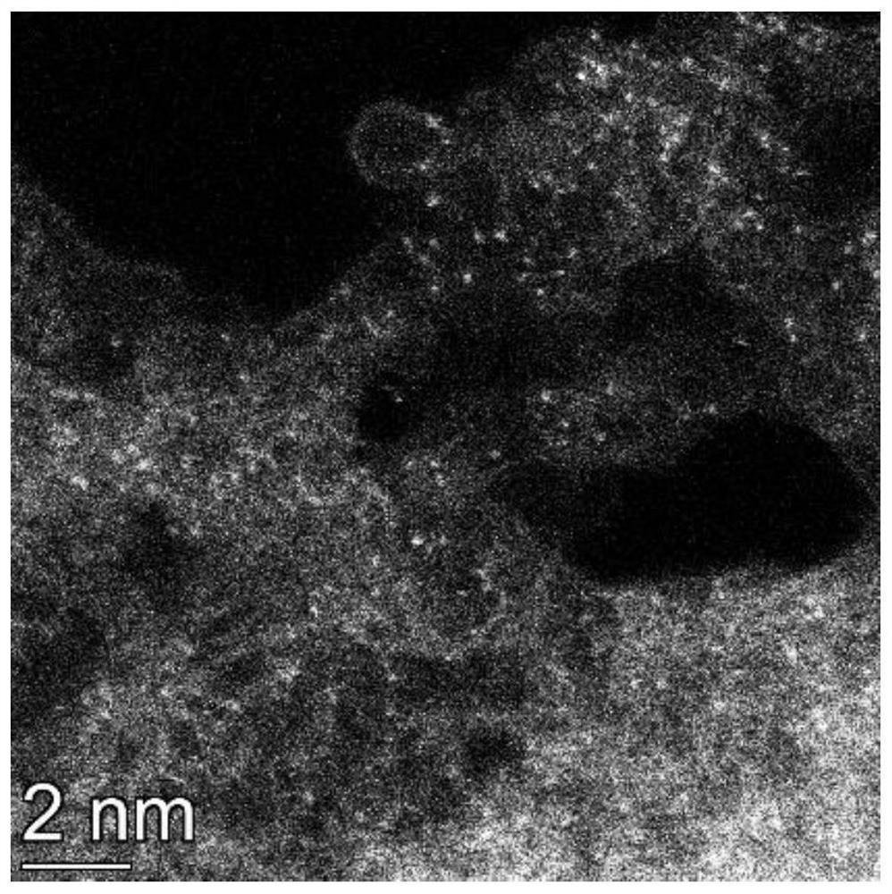 An iron-nitrogen-carbon composite material containing a single-atom active site, and its preparation and application method