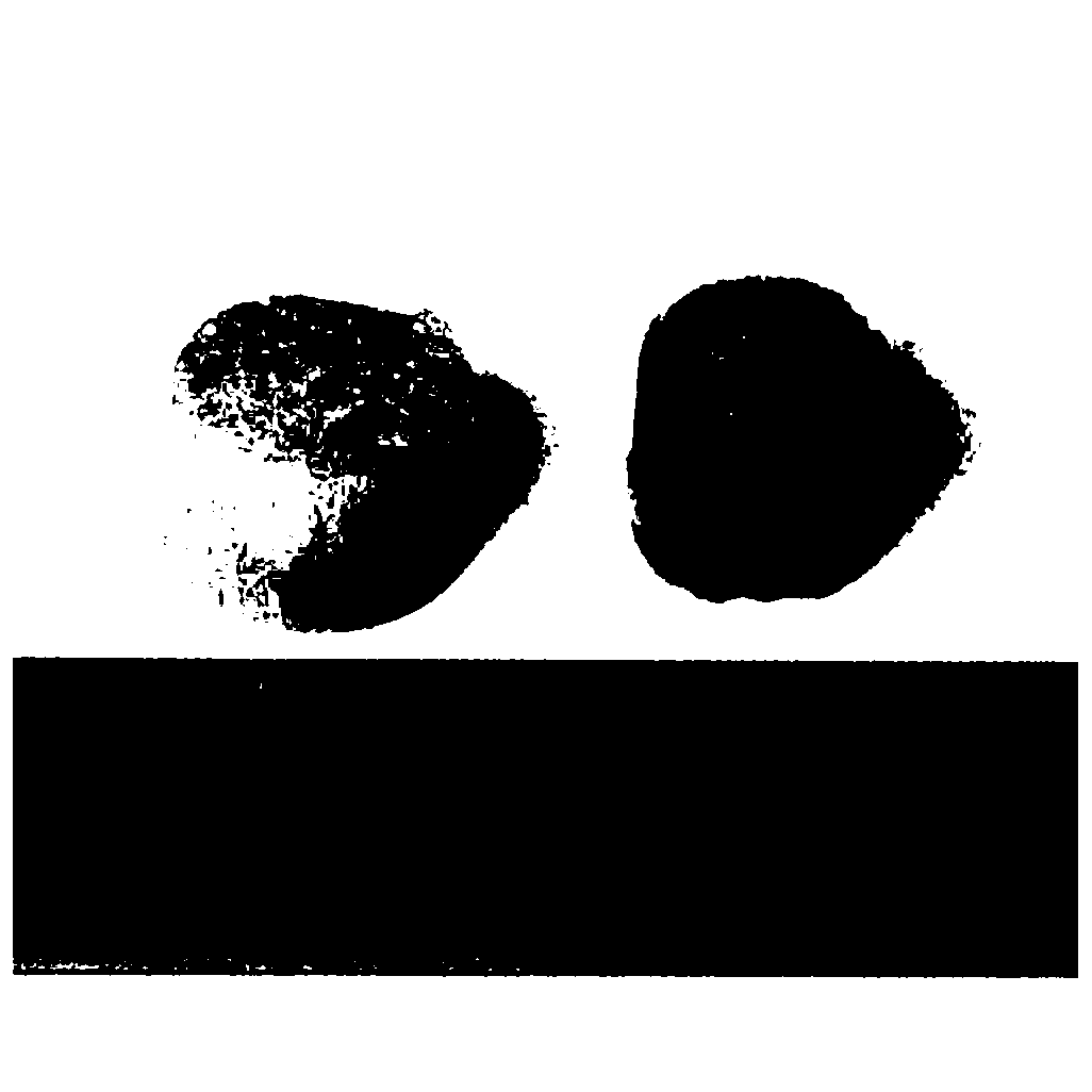 Silk fibroin/silver phosphate nano-wire composite pore channel scaffold, construction method and applications thereof