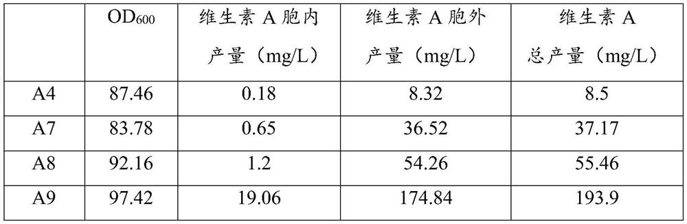 Saccharomyces cerevisiae for producing vitamin A and construction method thereof