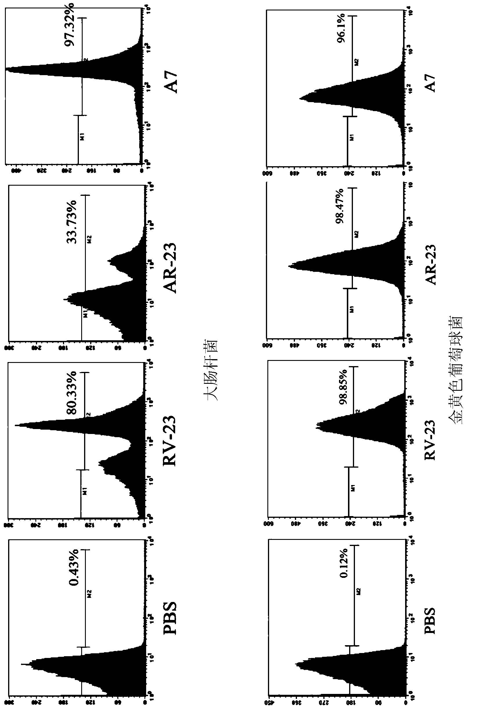 Derived polypeptides formed by modifying structures of frog skin antibacterial peptides AR-23 and application of derived polypeptides