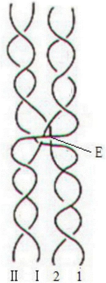 Double cloth with crossed and enclosed structures and weaving method of double cloth