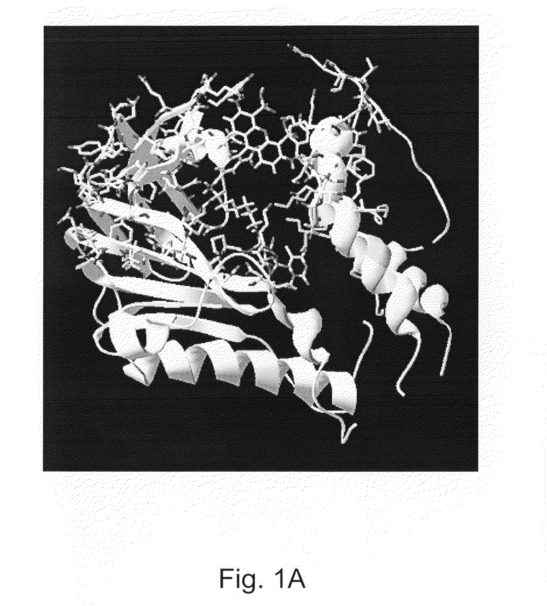 Enzymes resistant to photodamage