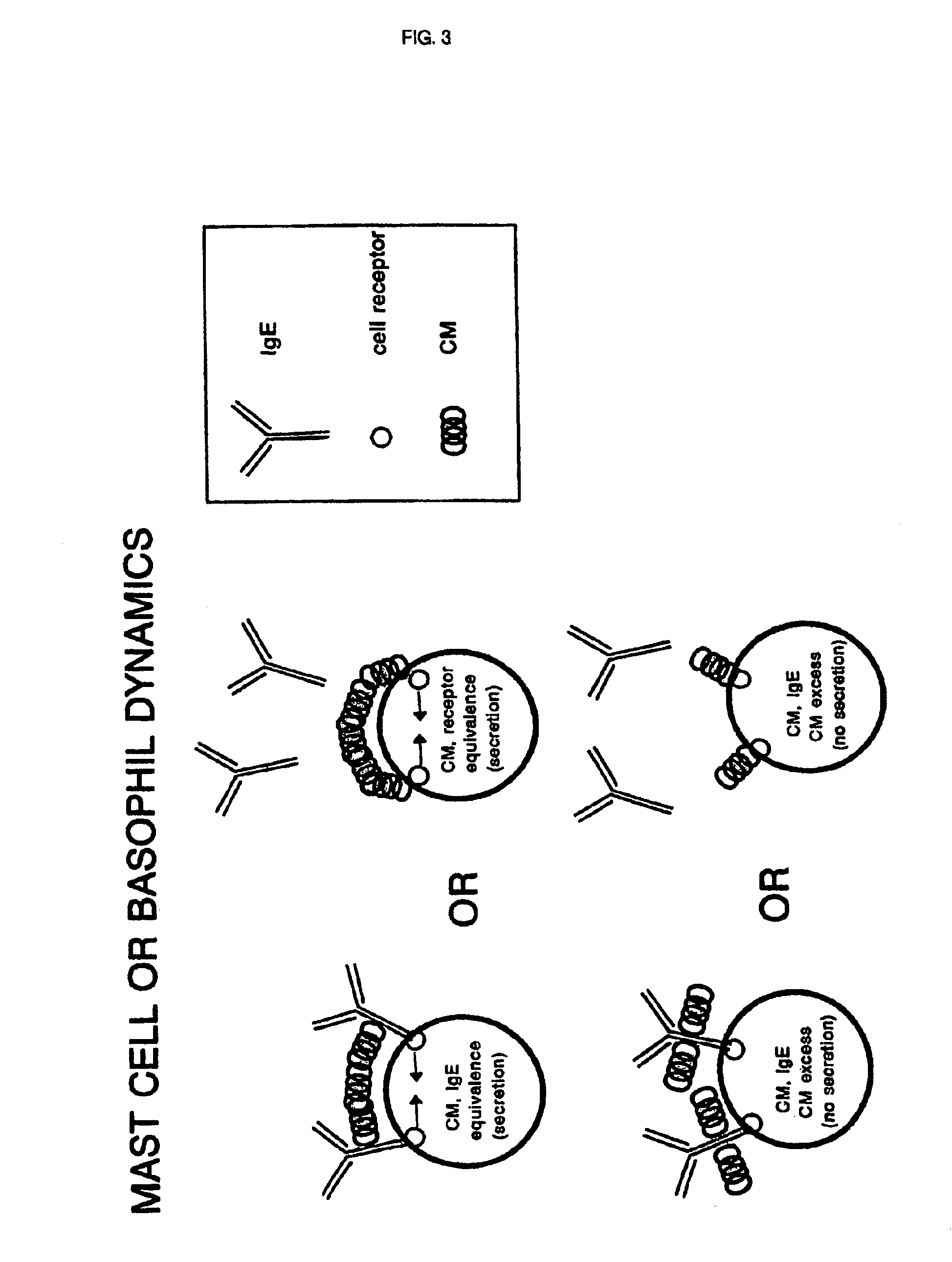 Concentrated X-ray contrast media can act as universal antigens and can inhibit or prevent allergic reactions