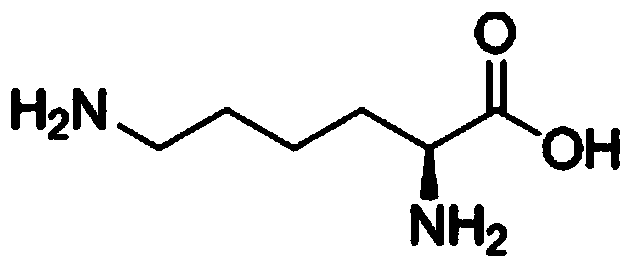 Sugar-free lysine and gluconic acid zinc granule composition and preparation method thereof