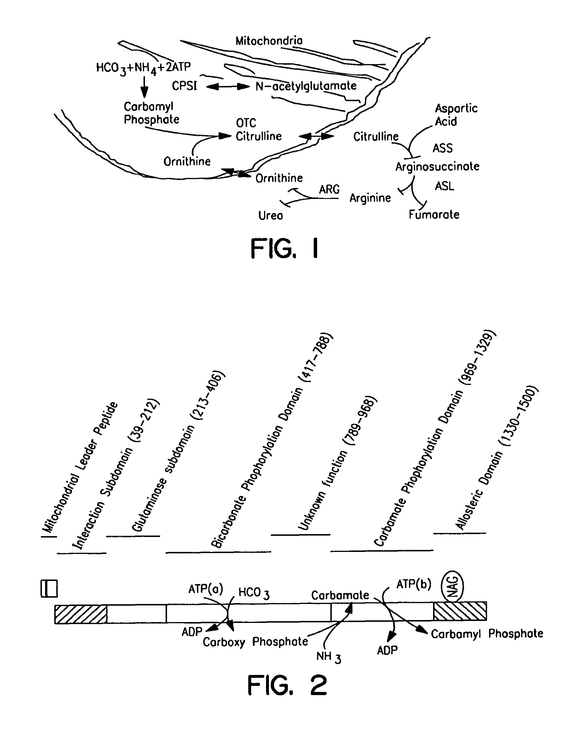 Therapeutic methods employing nitric oxide precursors