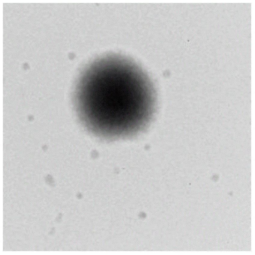 Nuclear shell type long-acting antibacterial emulsion and preparation method thereof