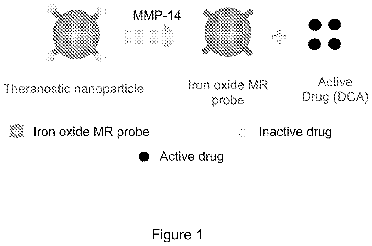 Anti-Warburg Nanoparticles - A matrix metalloprotease activatable conjugate to inhibit glioblastoma proliferation