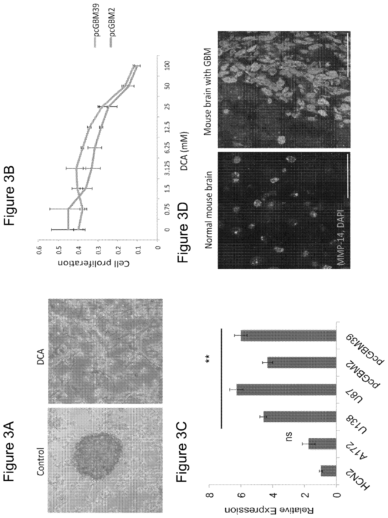 Anti-Warburg Nanoparticles - A matrix metalloprotease activatable conjugate to inhibit glioblastoma proliferation