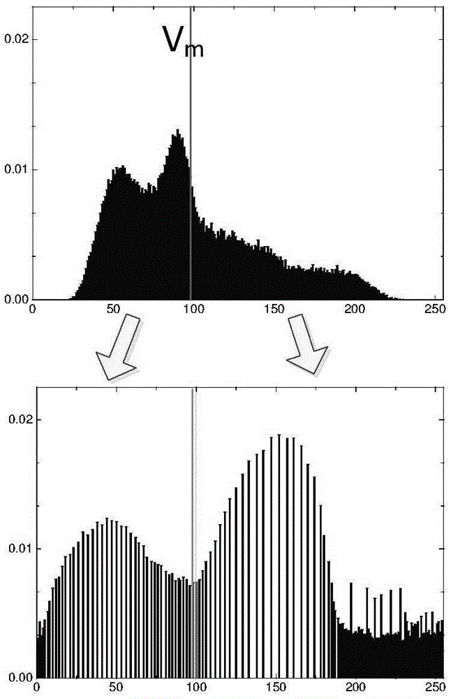 A Histogram Equalization Method Preserving Background and Detail Information