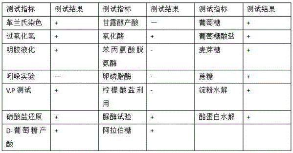 Bacillus aryabhattai, microbial inoculums thereof, preparation method and application