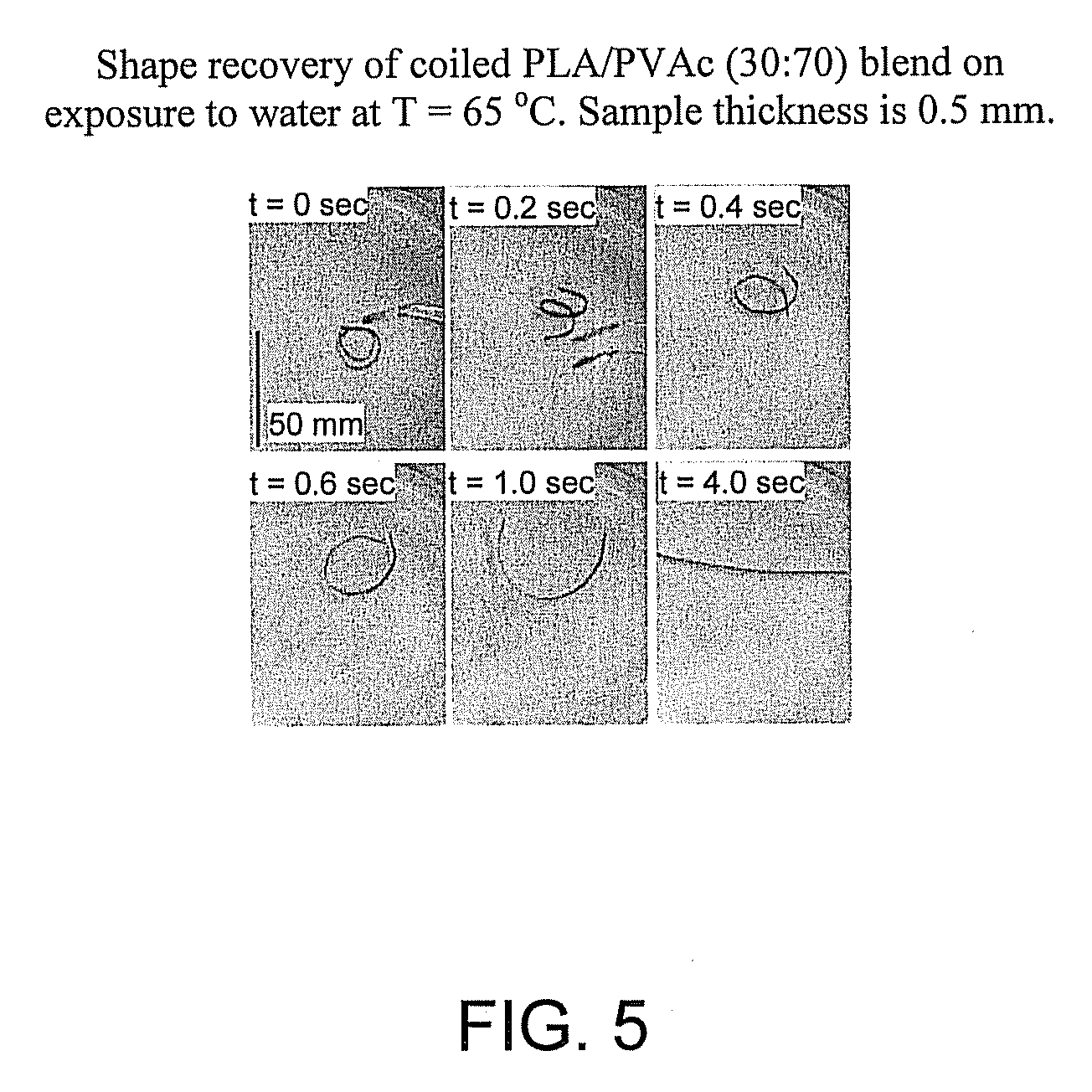 Blends of amorphous and semicrystalline polymers having shape memory properties