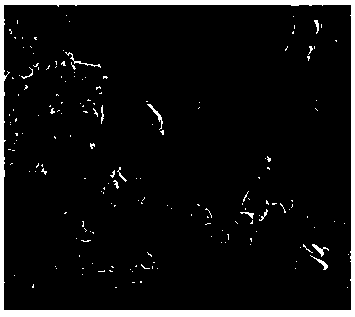 Aluminum hydroxide microcapsule coated with melamine-formaldehyde resin and preparation method of aluminum hydroxide microcapsule