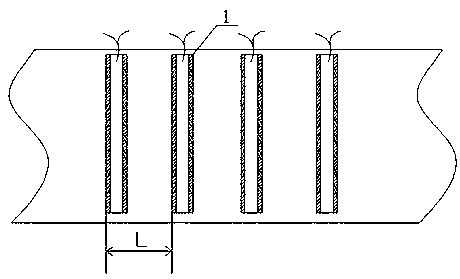 Ginseng planting method