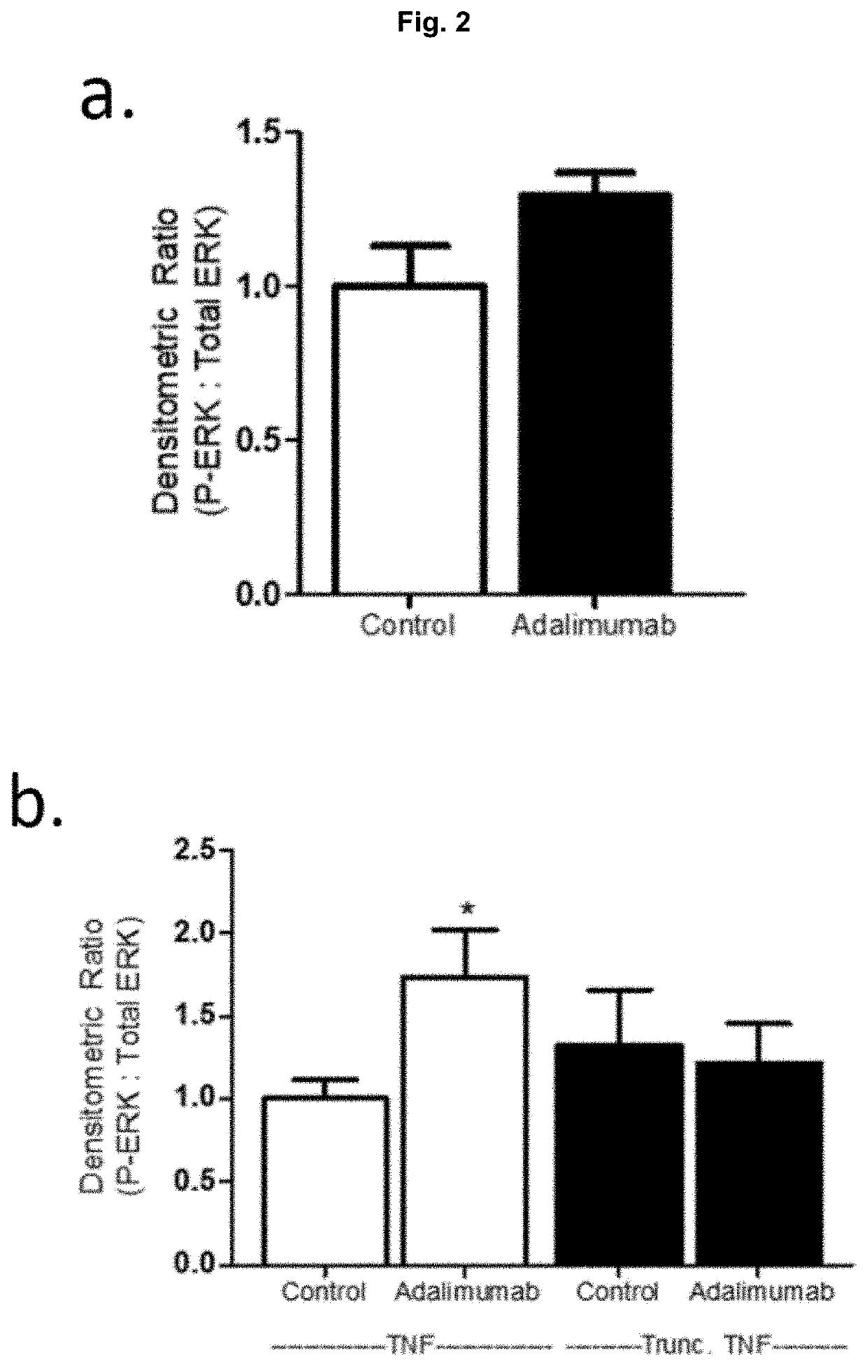 Use of Casein Kinase 1 Inhibitors For Treating Vascular Diseases