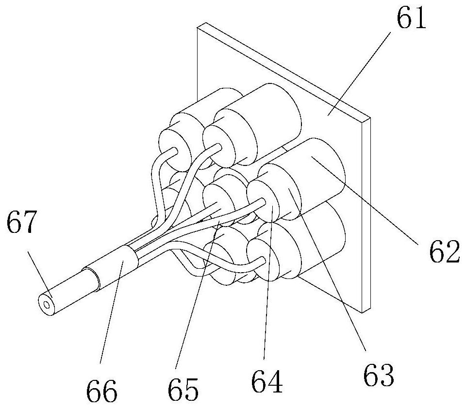 Biological detection method based on excitation light source